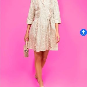 COPY - Tuckernuck Antelope Royal Shirt Dress SZ XXXL